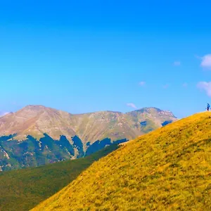 Gli Aristogatti , Campo Tizzoro Italia
